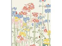 Emily Burningham memo primula