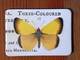 Magnet Butterflies 14 Magnet Butterflies 14