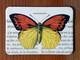 Magnet Butterflies 17 Magnet Butterflies 17
