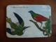 Magnet Birds & Nests 24 Magnet Birds & Nests 24