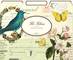 File Folders Flora & Fauna 3er Set File Folders Flora & Fauna 3er Set
