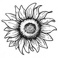 Stempel Sonnenblume