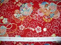 Blüten rot weiß Blüten rot weiß