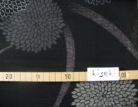 Chrysanthemen schwarz Chrysanthemen schwarz