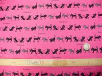 Filou pink Filou pink