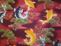 Koi burgund Koi burgund