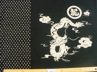 Panel Drache Panel Drache