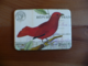 Magnet Birds & Nests 05 Magnet Birds & Nests 05