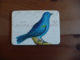 Magnet Birds & Nests 15 Magnet Birds & Nests 15