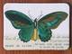 Magnet Butterflies 13 Magnet Butterflies 13