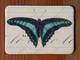 Magnet Butterflies 19 Magnet Butterflies 19