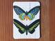 Magnet Butterflies 21 Magnet Butterflies 21