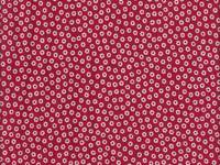 Daisy red Daisy red