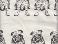 Panel Möpse weiß Panel Möpse weiß