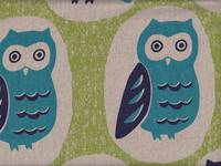 Eule groß grün Eule groß grün