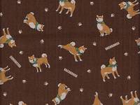 Shiba braun Shiba braun