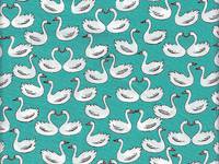 Schwäne türkis Schwäne türkis