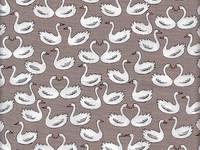 Schwäne braun Schwäne braun