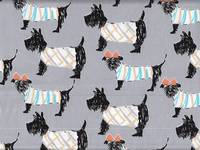 Hunde groß grau Hunde groß grau