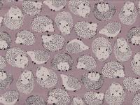 Igel beige Igel beige