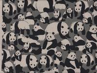 Panda grau