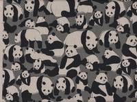 Panda grau Panda grau
