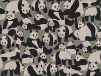 Panda hellgrün Panda hellgrün