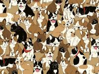 Hundehaufen beige Hundehaufen beige