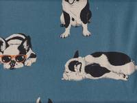 Bully groß blau Bully groß blau