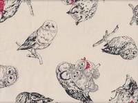 Eulen natur Eulen natur