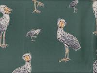 Schuhschnabel türkis Schuhschnabel türkis