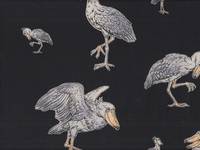 Schuhschnabel schwarz Schuhschnabel schwarz