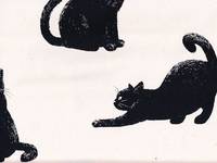 Katzen groß natur Katzen groß natur