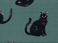 Katzen groß türkis Katzen groß türkis