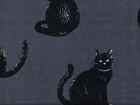 Katzen groß grau Katzen groß grau