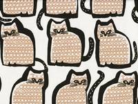 Katzen weiß Katzen weiß