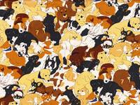 Hunde natur Hunde natur