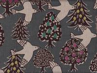 Vogel grau Vogel grau