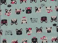 Hund hellblau Hund hellblau