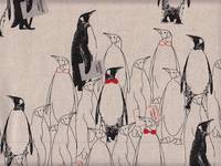 Pinguine natur Pinguine natur