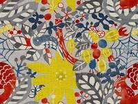 Eichhörnchen grau Eichhörnchen grau