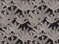 Forest black Forest black