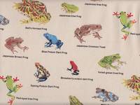 Amphibians Encyclopedia natur Amphibians Encyclopedia natur