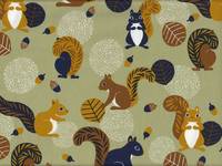 Eichhörnchen grün Eichhörnchen grün