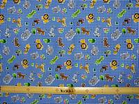 Safari karo Safari karo