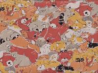 Funny Animals - Good Night Funny Animals - Good Night