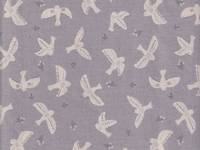 Vögel grau Vögel grau