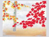 Noboru Sakai. Postkartenbuch Noboru Sakai. Postkartenbuch