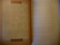 Scrapaholic Book Scrapaholic Book