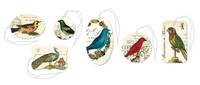 Gift Tags Birds